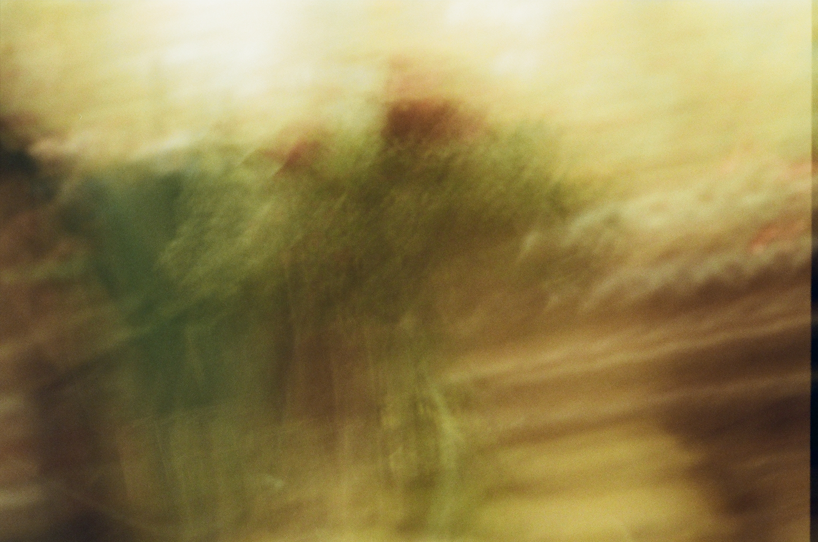 Snapshots
